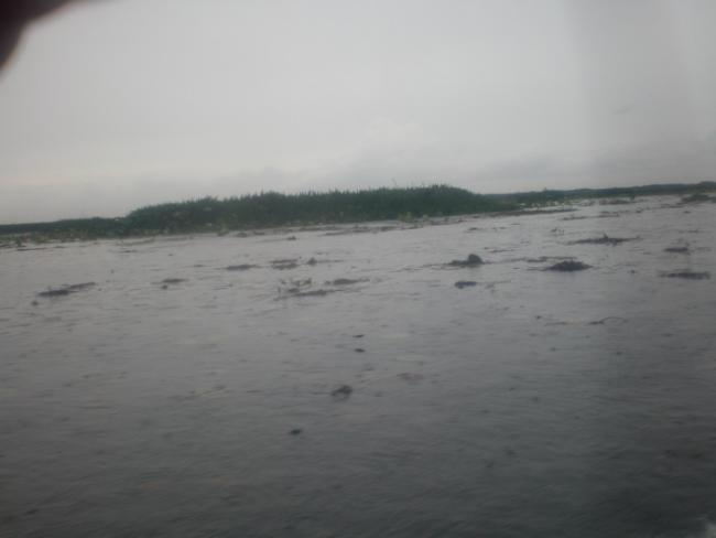SANY7404.jpg